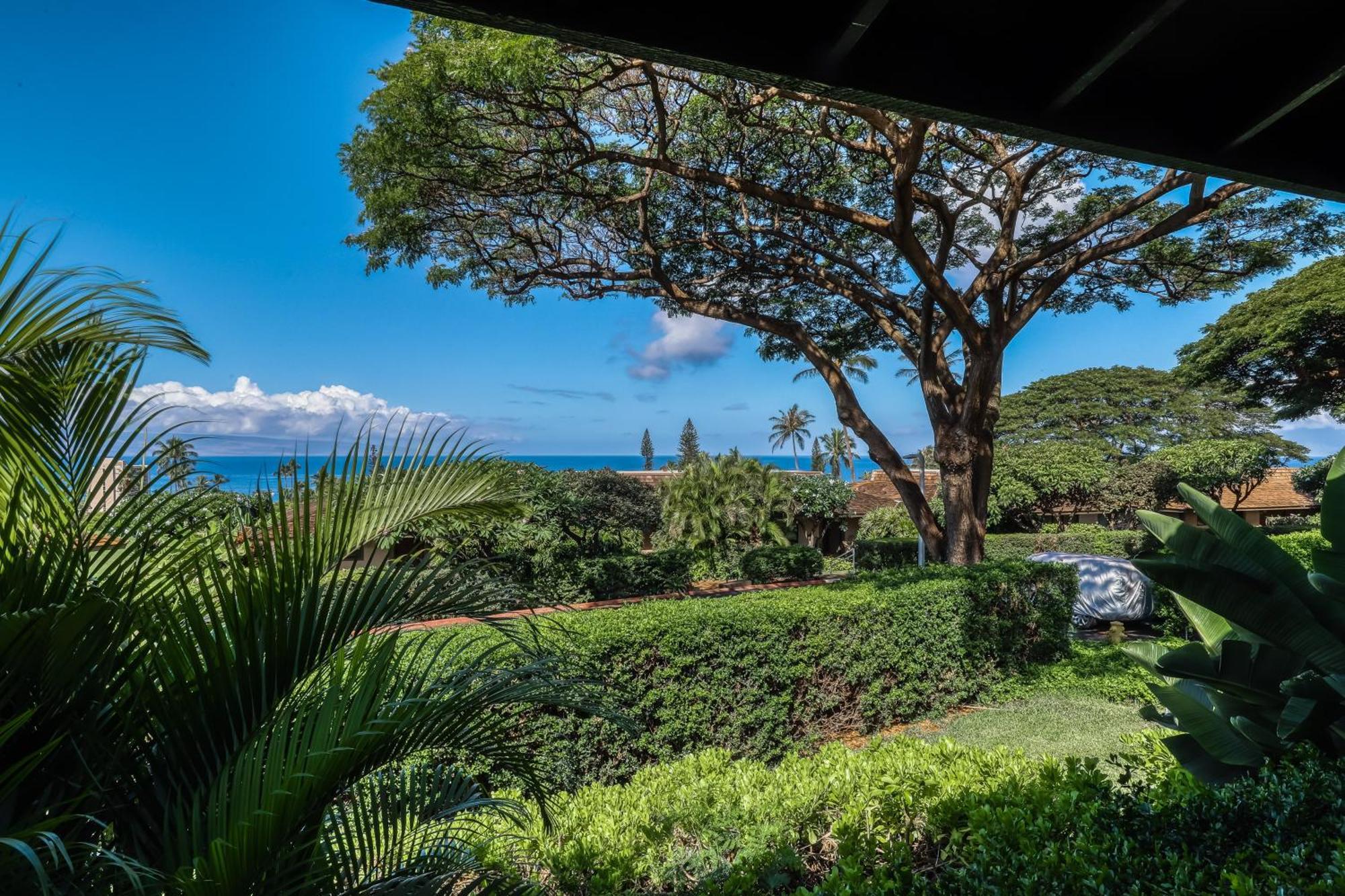 Kaanapali Plantation Condominiums Room photo